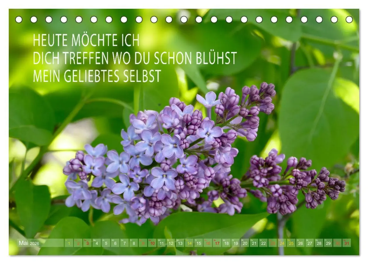 Bild: 9783457401415 | Haiku Poesie in Wort und Bild (Tischkalender 2026 DIN A5 quer),...