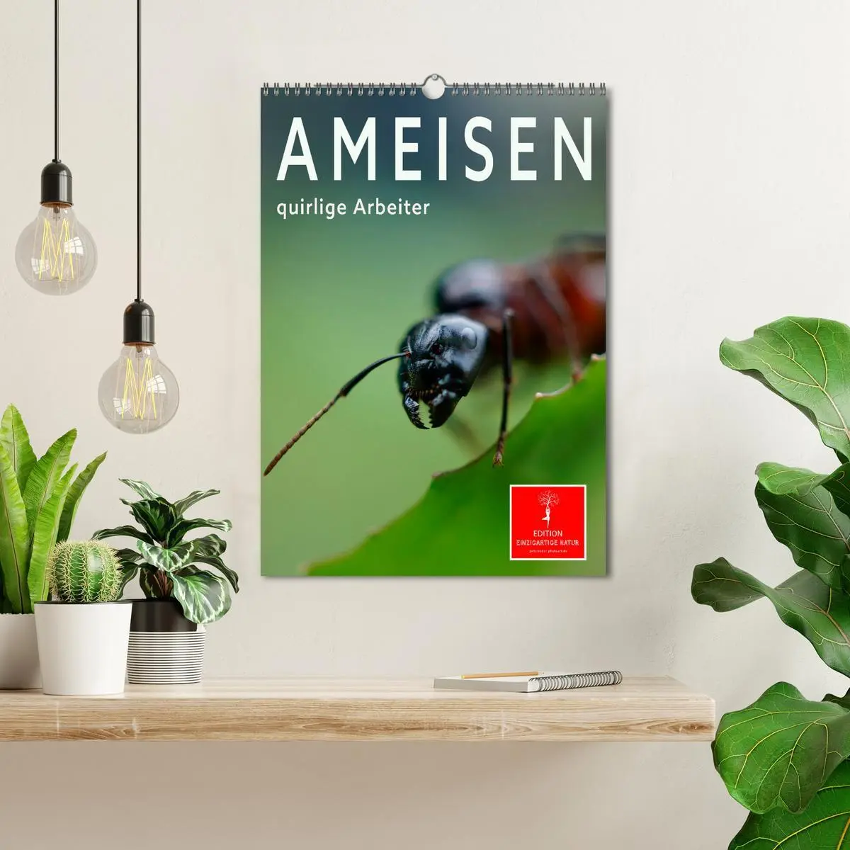 Bild: 9783516351415 | Ameisen quirlige Arbeiter (Wandkalender 2026 DIN A3 hoch), CALVENDO...