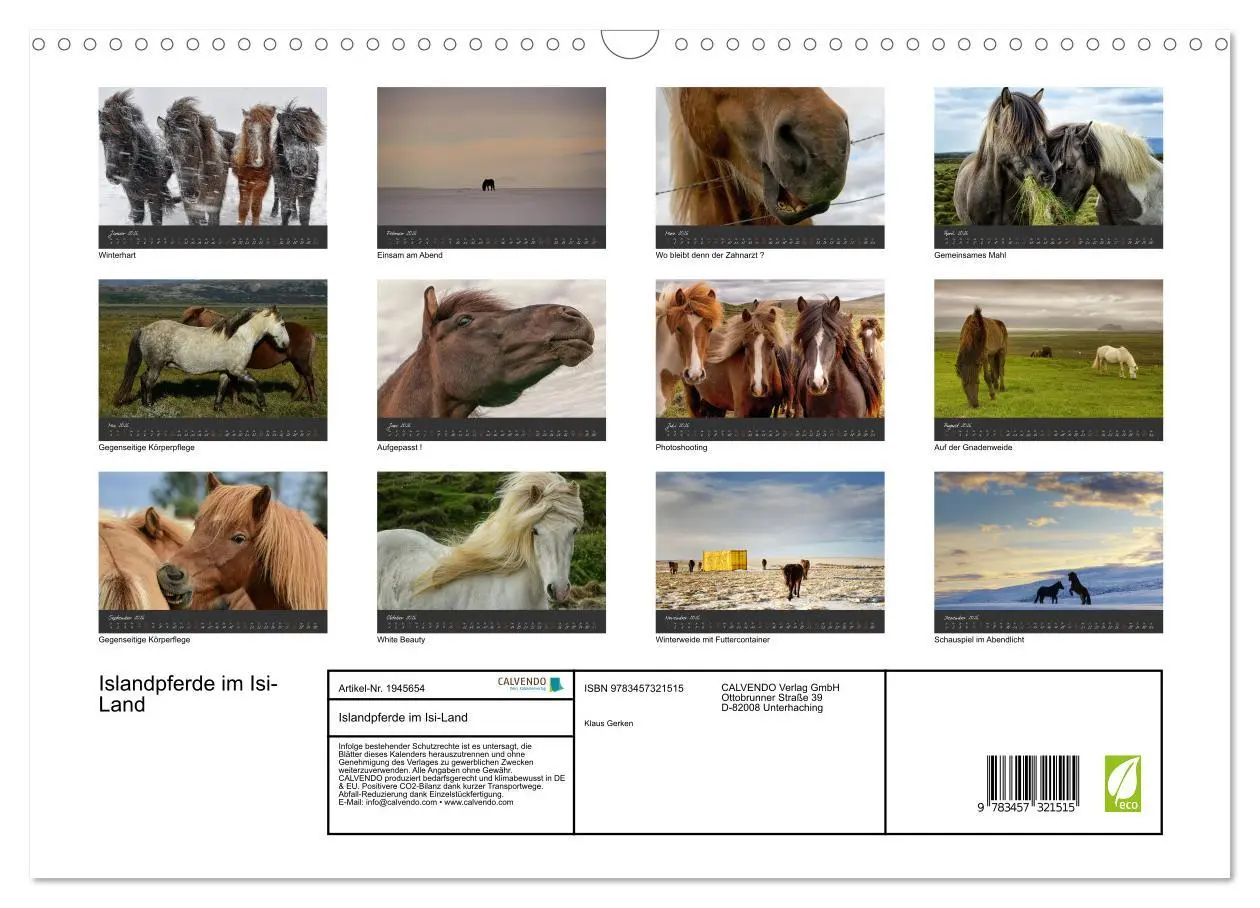 Bild: 9783457321515 | Islandpferde im Isi-Land (Wandkalender 2026 DIN A3 quer), CALVENDO...