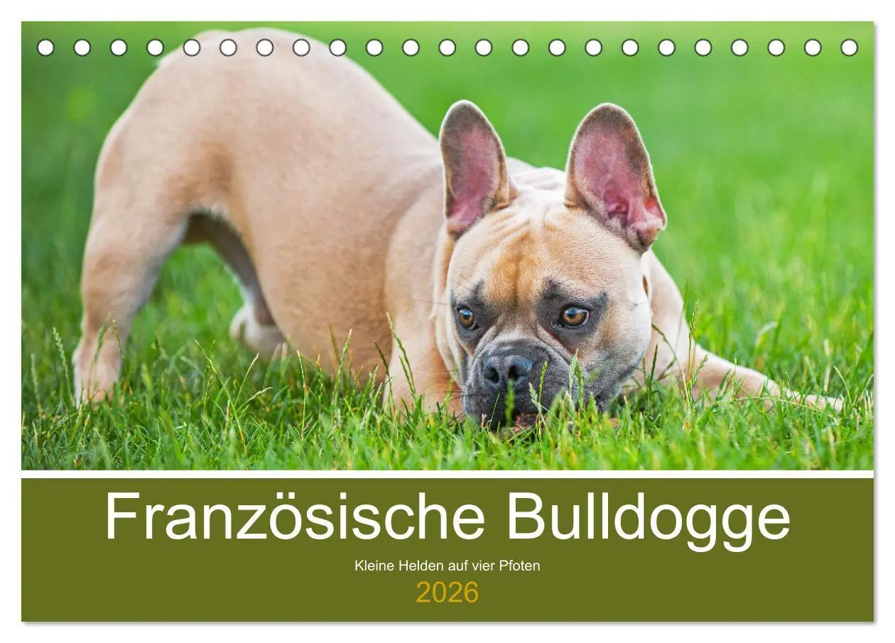 Cover: 9783457631515 | Französische Bulldogge - Kleine Helden auf vier Pfoten...