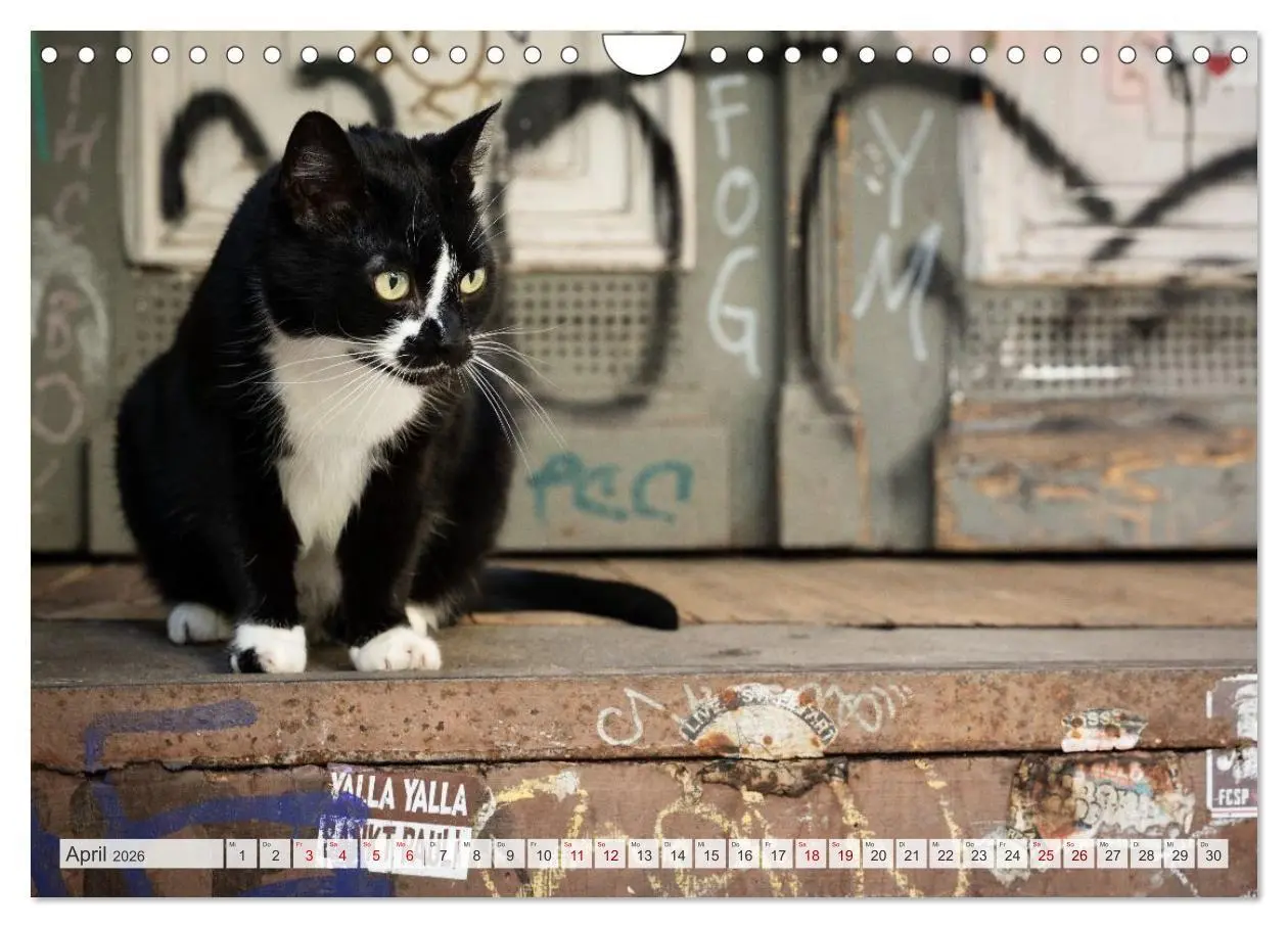 Bild: 9783516721515 | Buntes Hamburg (Wandkalender 2026 DIN A4 quer), CALVENDO...