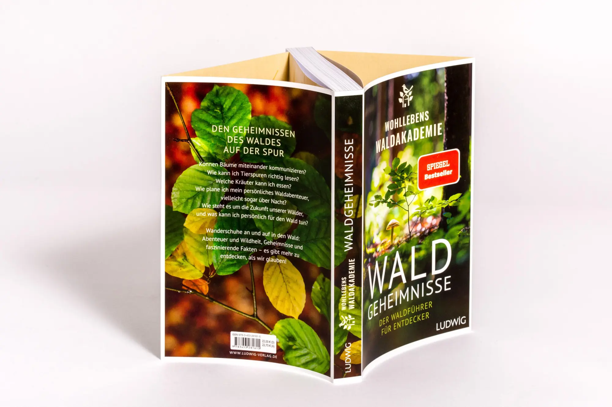 Bild: 9783453281615 | Waldgeheimnisse | Wohllebens Waldakademie | Taschenbuch | 320 S.