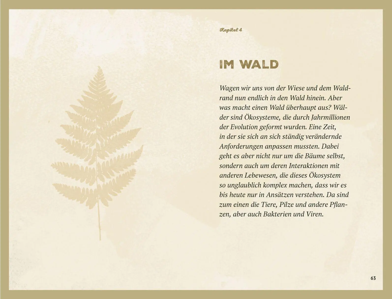 Bild: 9783453281615 | Waldgeheimnisse | Wohllebens Waldakademie | Taschenbuch | 320 S.