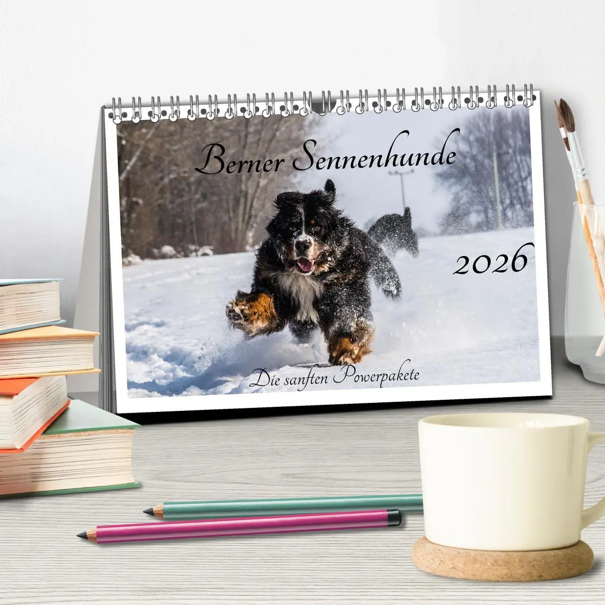 Bild: 9783457551615 | Berner Sennenhunde - Die sanften Powerpakete (Tischkalender 2026...