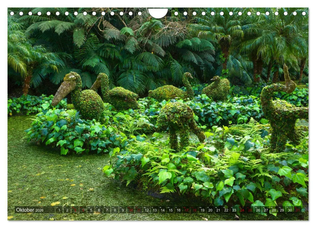 Bild: 9783457861615 | Terra Nostra Garten - ein botanisches Juwel auf den Azoren...