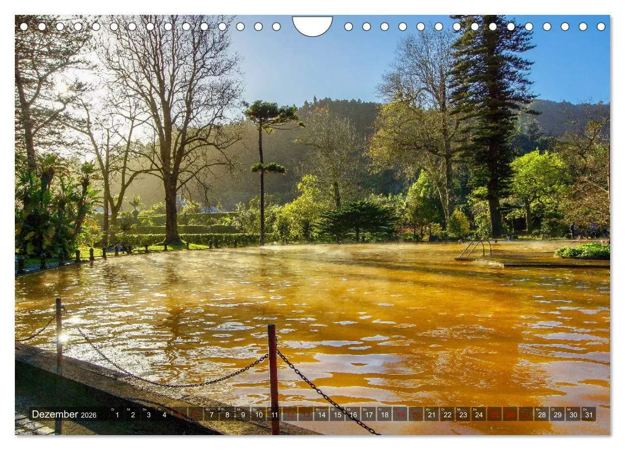 Bild: 9783457861615 | Terra Nostra Garten - ein botanisches Juwel auf den Azoren...