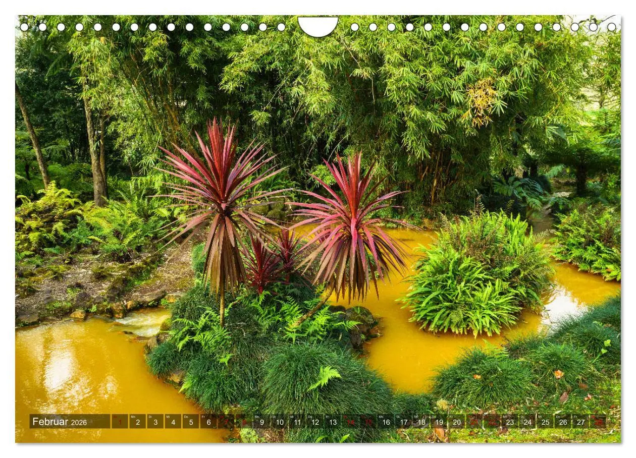 Bild: 9783457861615 | Terra Nostra Garten - ein botanisches Juwel auf den Azoren...