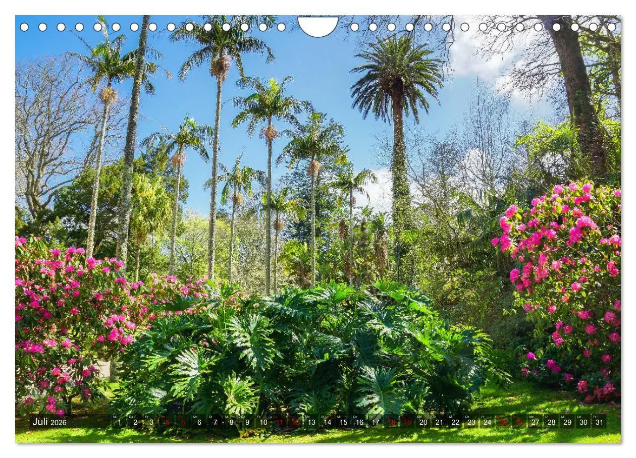 Bild: 9783457861615 | Terra Nostra Garten - ein botanisches Juwel auf den Azoren...