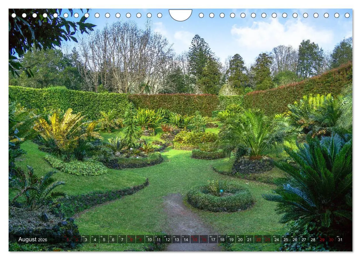 Bild: 9783457861615 | Terra Nostra Garten - ein botanisches Juwel auf den Azoren...