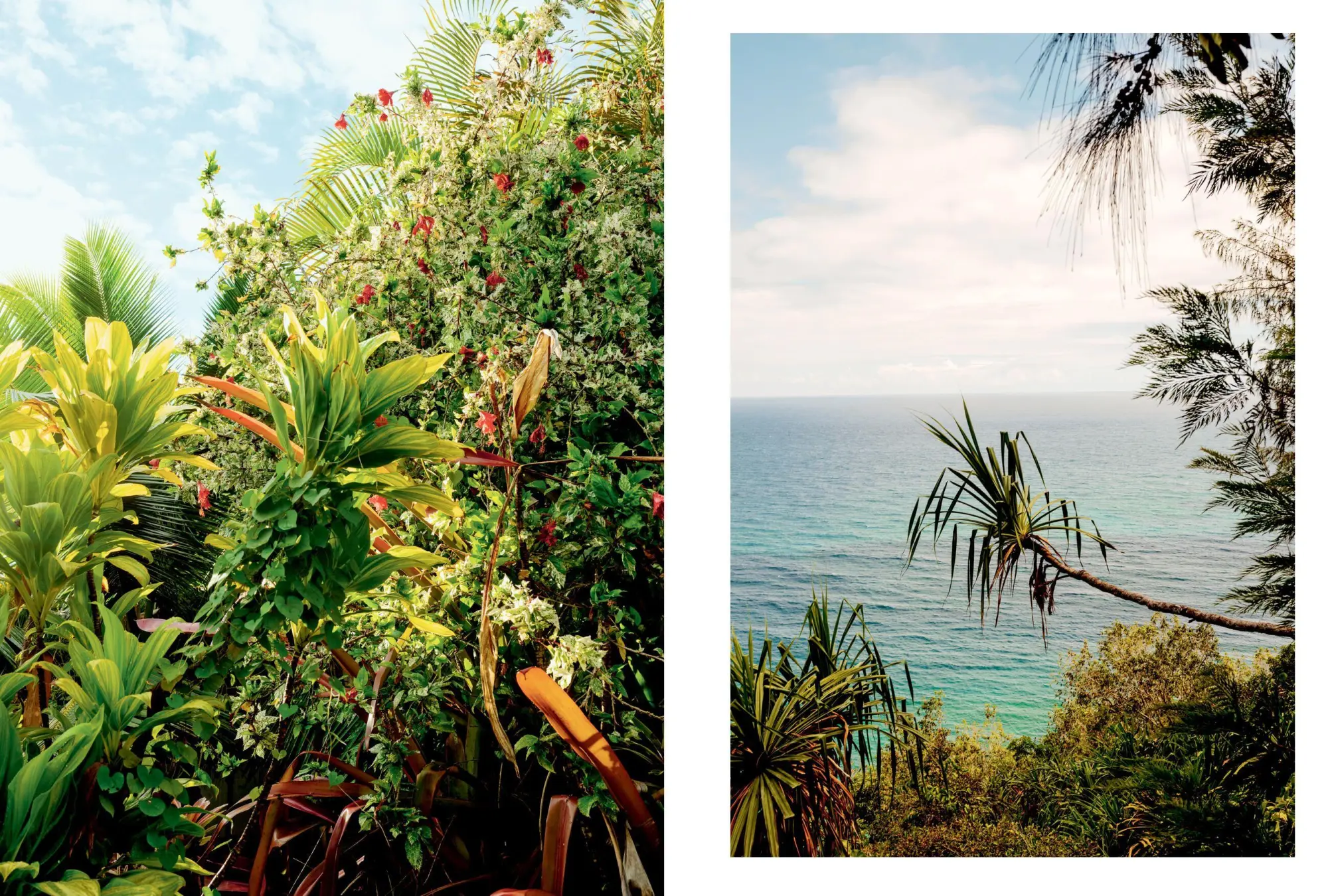 Bild: 9781648291715 | Kinfolk Wilderness | John Burns | Buch | Gebunden | Englisch | 2023