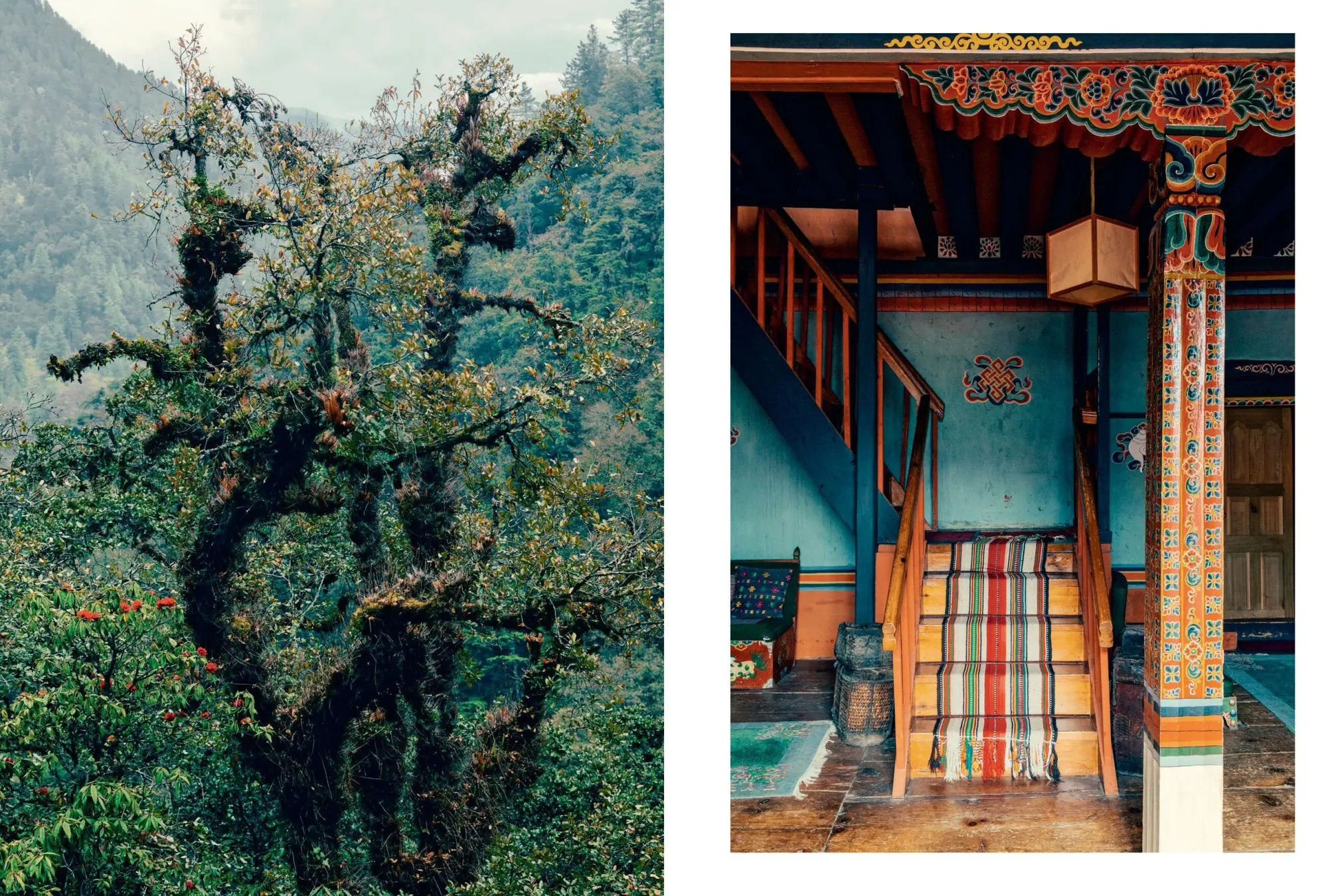 Bild: 9781648291715 | Kinfolk Wilderness | John Burns | Buch | Gebunden | Englisch | 2023