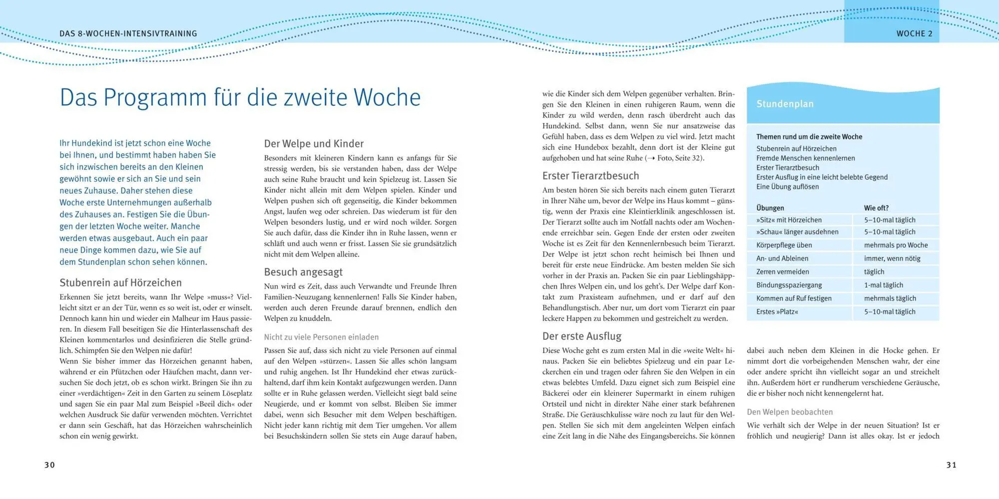 Bild: 9783833811715 | Welpen-Erziehung | Katharina Schlegl-Kofler | Taschenbuch | 168 S.