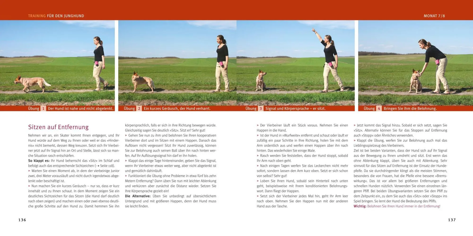 Bild: 9783833811715 | Welpen-Erziehung | Katharina Schlegl-Kofler | Taschenbuch | 168 S.
