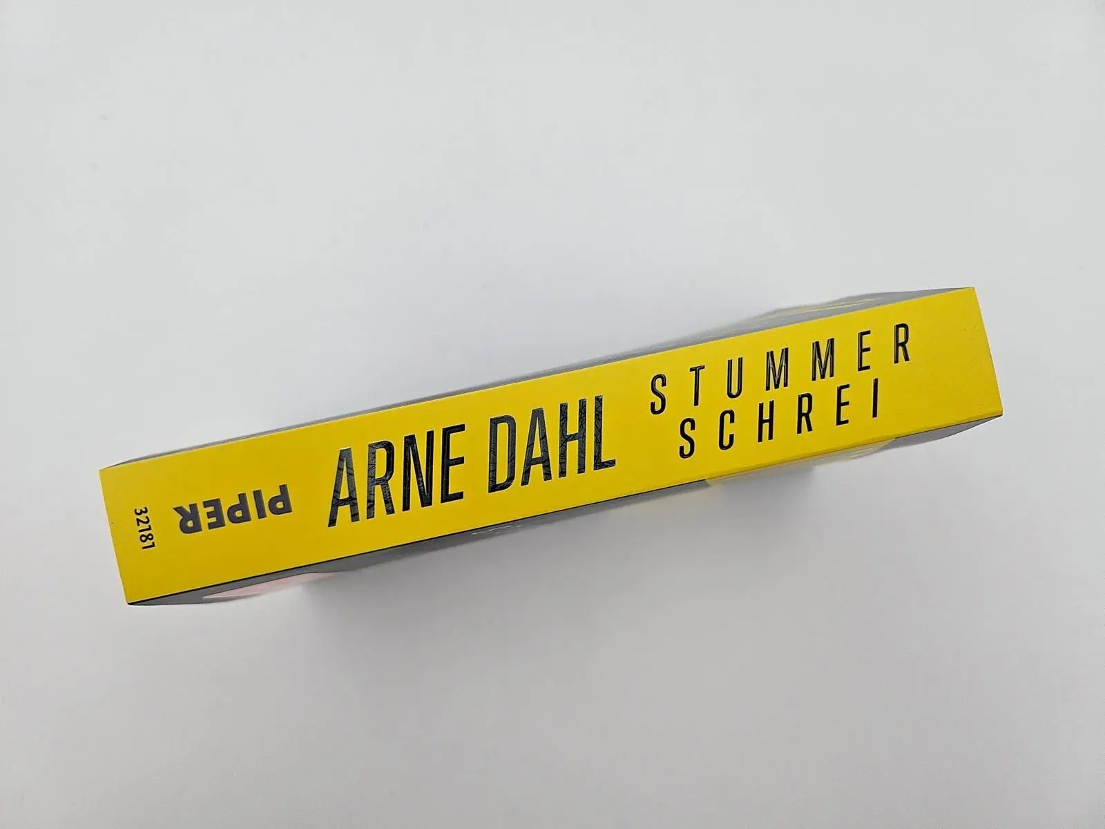 Bild: 9783492321815 | Stummer Schrei | Arne Dahl | Taschenbuch | Eva Nyman ermittelt | 2025
