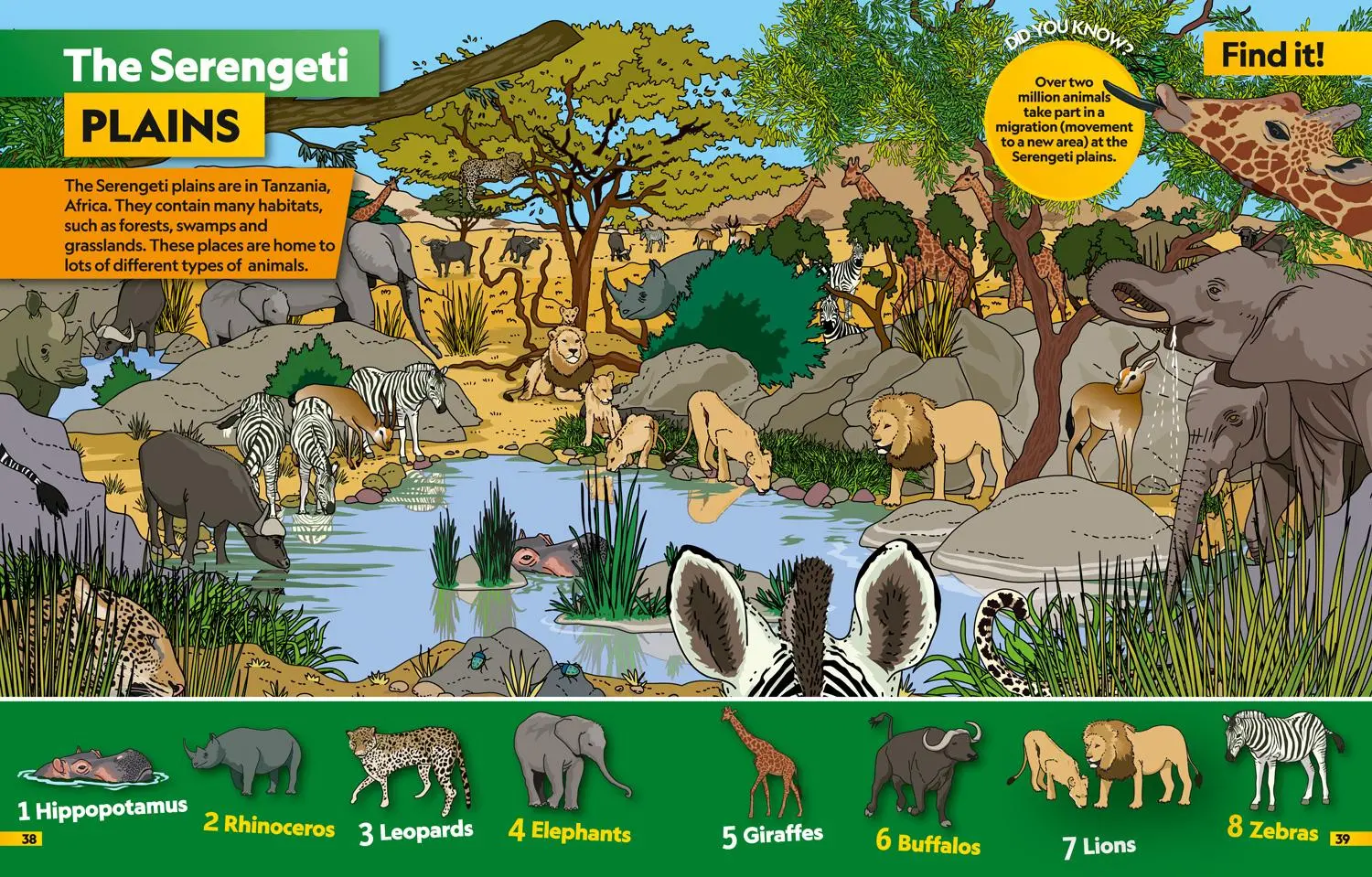 Bild: 9780008421915 | Animals Find it! Explore it! | National Geographic Kids | Taschenbuch
