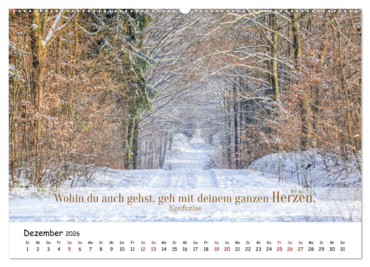 Bild: 9783457451915 | Lebensweisheiten, motivierende Sprüche und kluge Zitate mit Bildern...