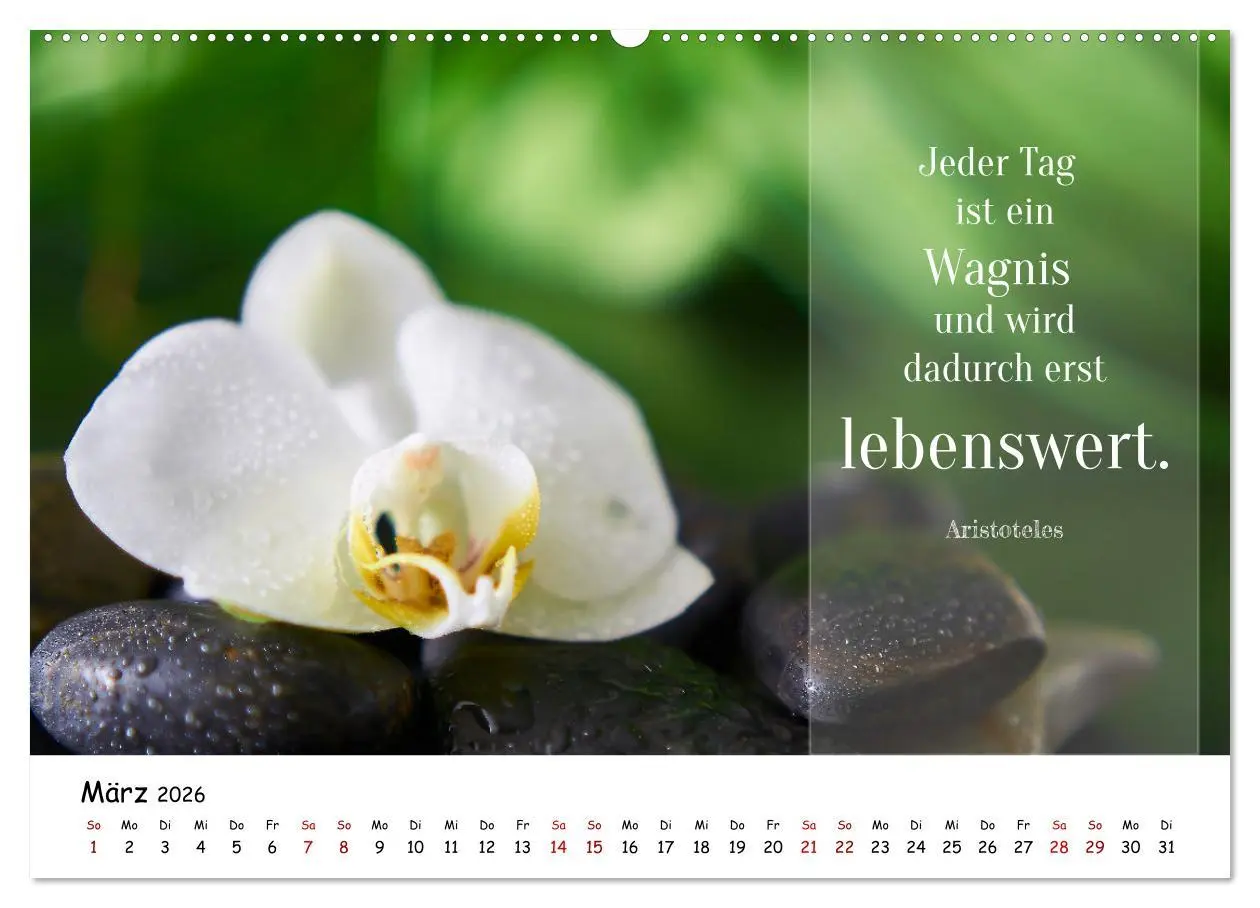 Bild: 9783457451915 | Lebensweisheiten, motivierende Sprüche und kluge Zitate mit Bildern...
