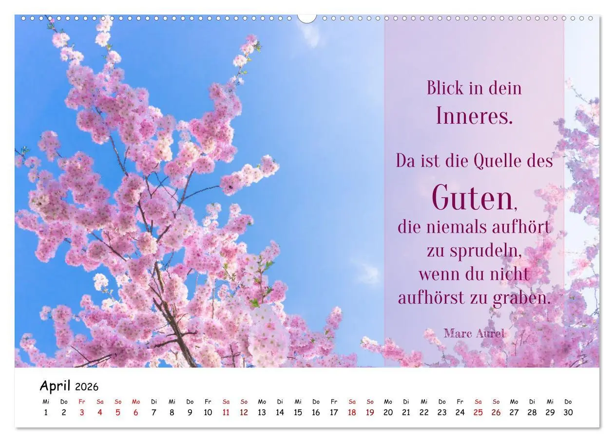 Bild: 9783457451915 | Lebensweisheiten, motivierende Sprüche und kluge Zitate mit Bildern...