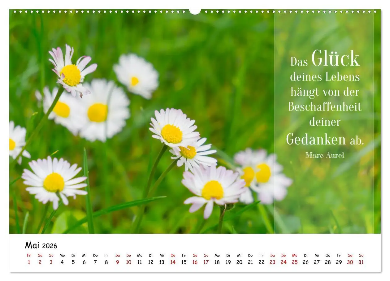Bild: 9783457451915 | Lebensweisheiten, motivierende Sprüche und kluge Zitate mit Bildern...