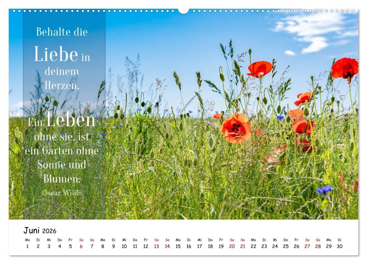 Bild: 9783457451915 | Lebensweisheiten, motivierende Sprüche und kluge Zitate mit Bildern...