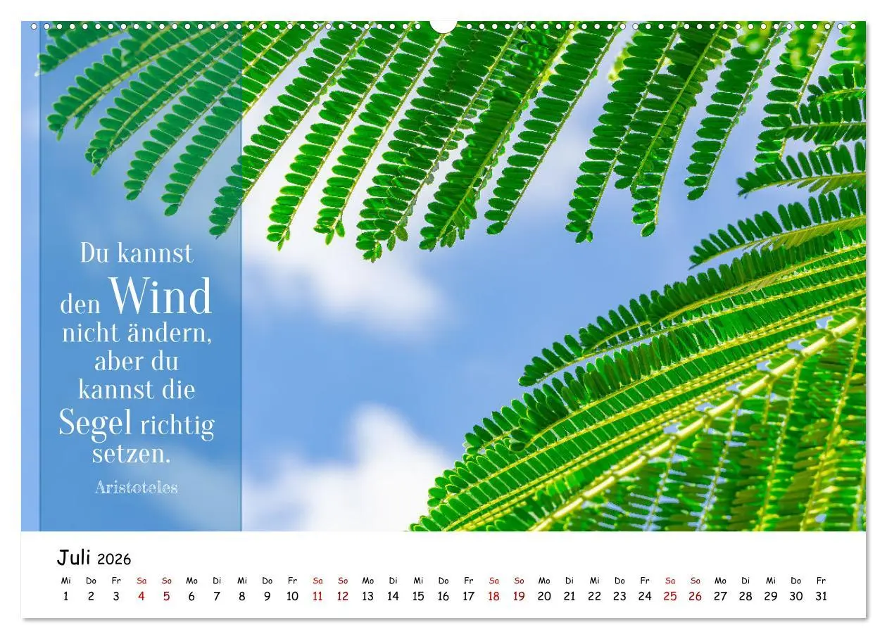Bild: 9783457451915 | Lebensweisheiten, motivierende Sprüche und kluge Zitate mit Bildern...