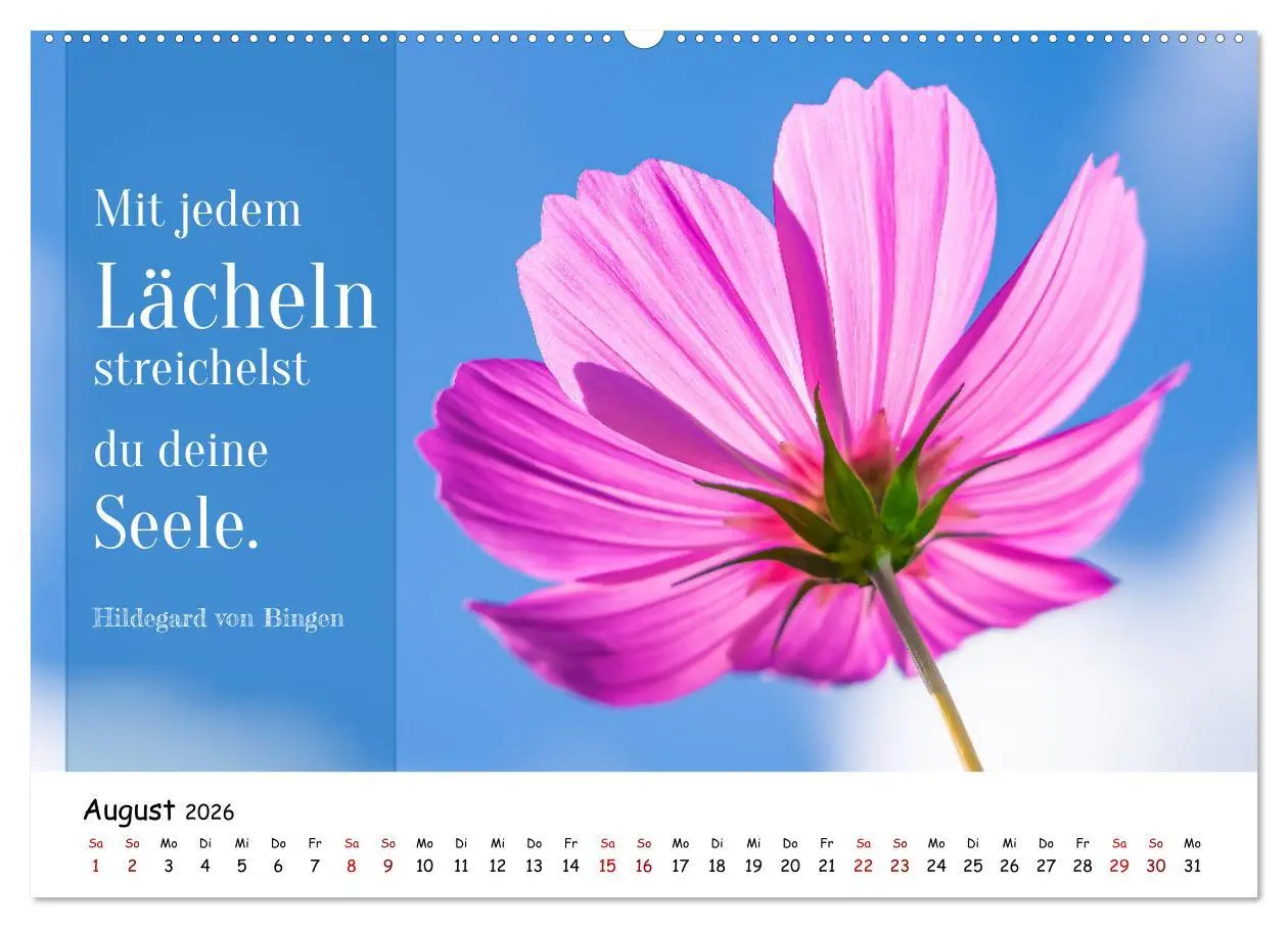 Bild: 9783457451915 | Lebensweisheiten, motivierende Sprüche und kluge Zitate mit Bildern...
