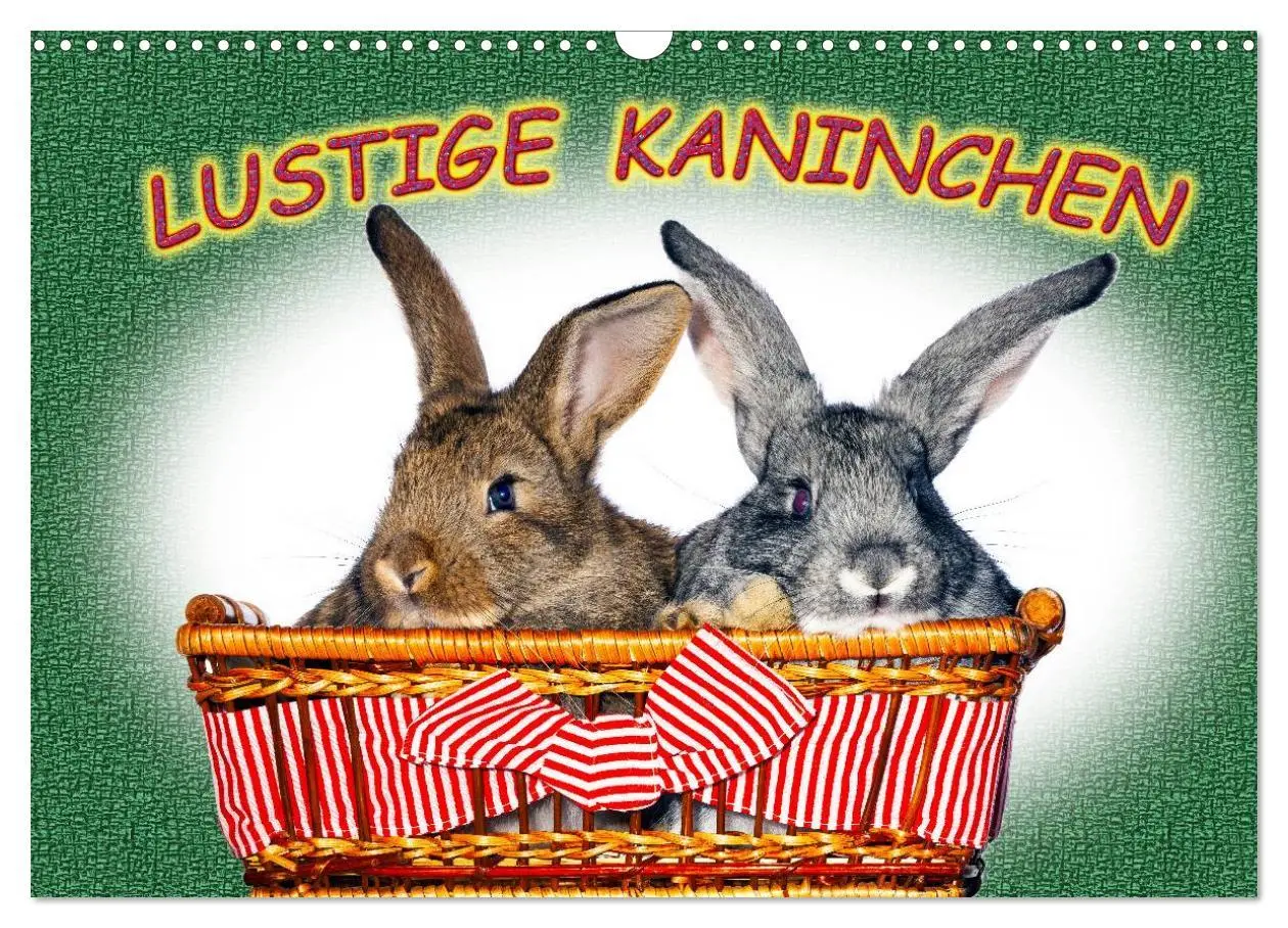 Cover: 9783516161915 | Lustige Kaninchen (Wandkalender 2026 DIN A3 quer), CALVENDO...