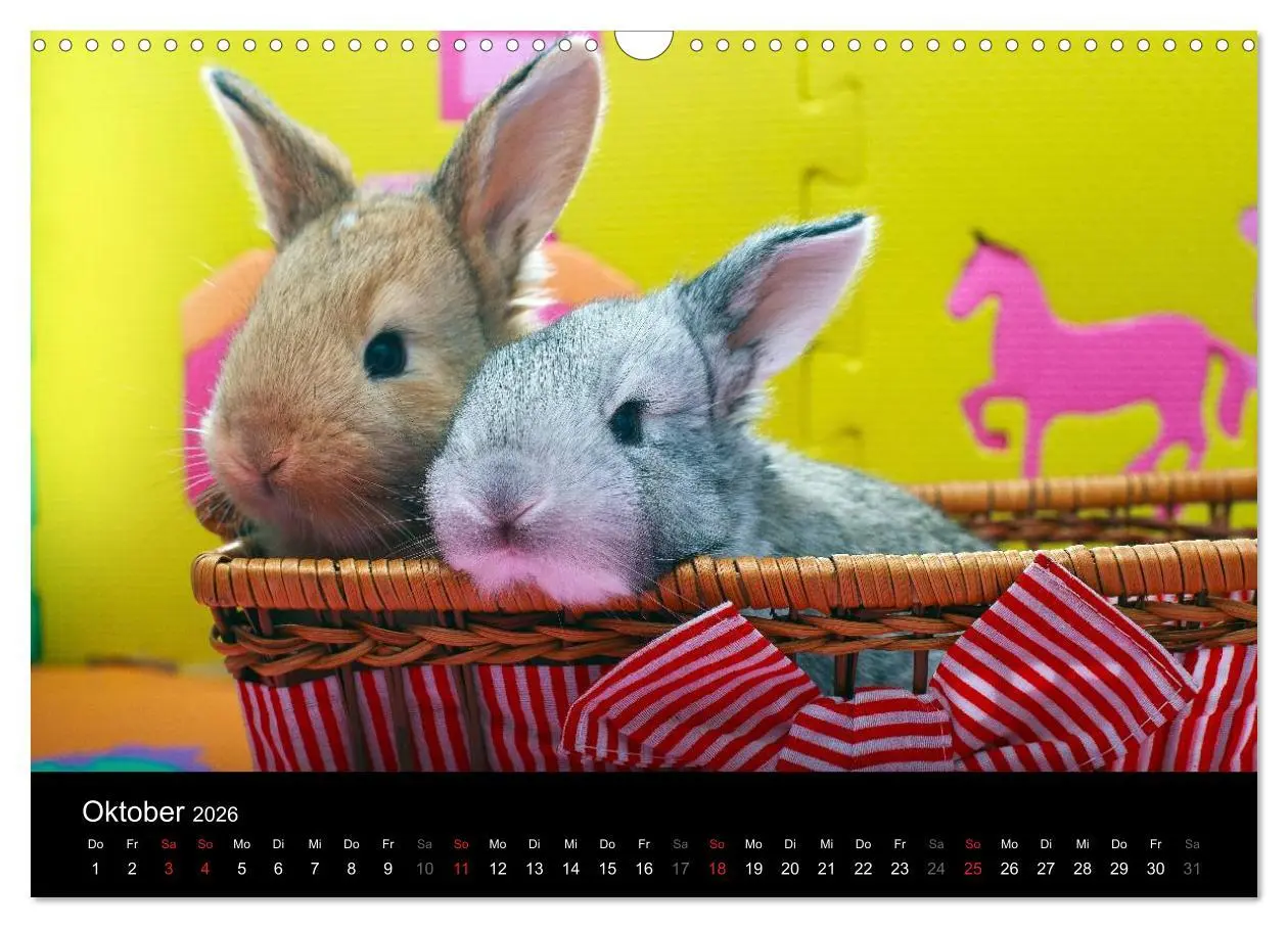 Bild: 9783516161915 | Lustige Kaninchen (Wandkalender 2026 DIN A3 quer), CALVENDO...