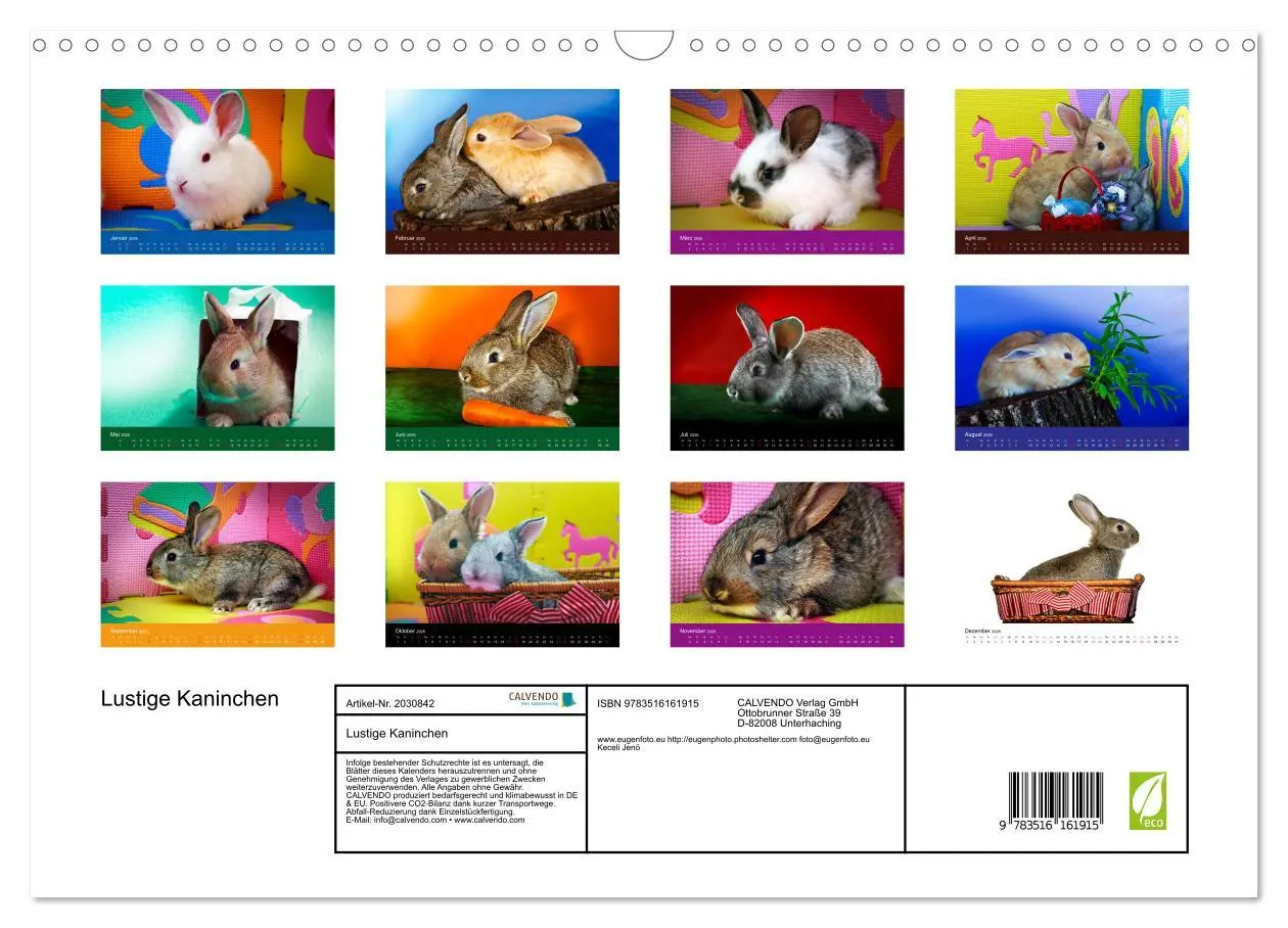 Bild: 9783516161915 | Lustige Kaninchen (Wandkalender 2026 DIN A3 quer), CALVENDO...