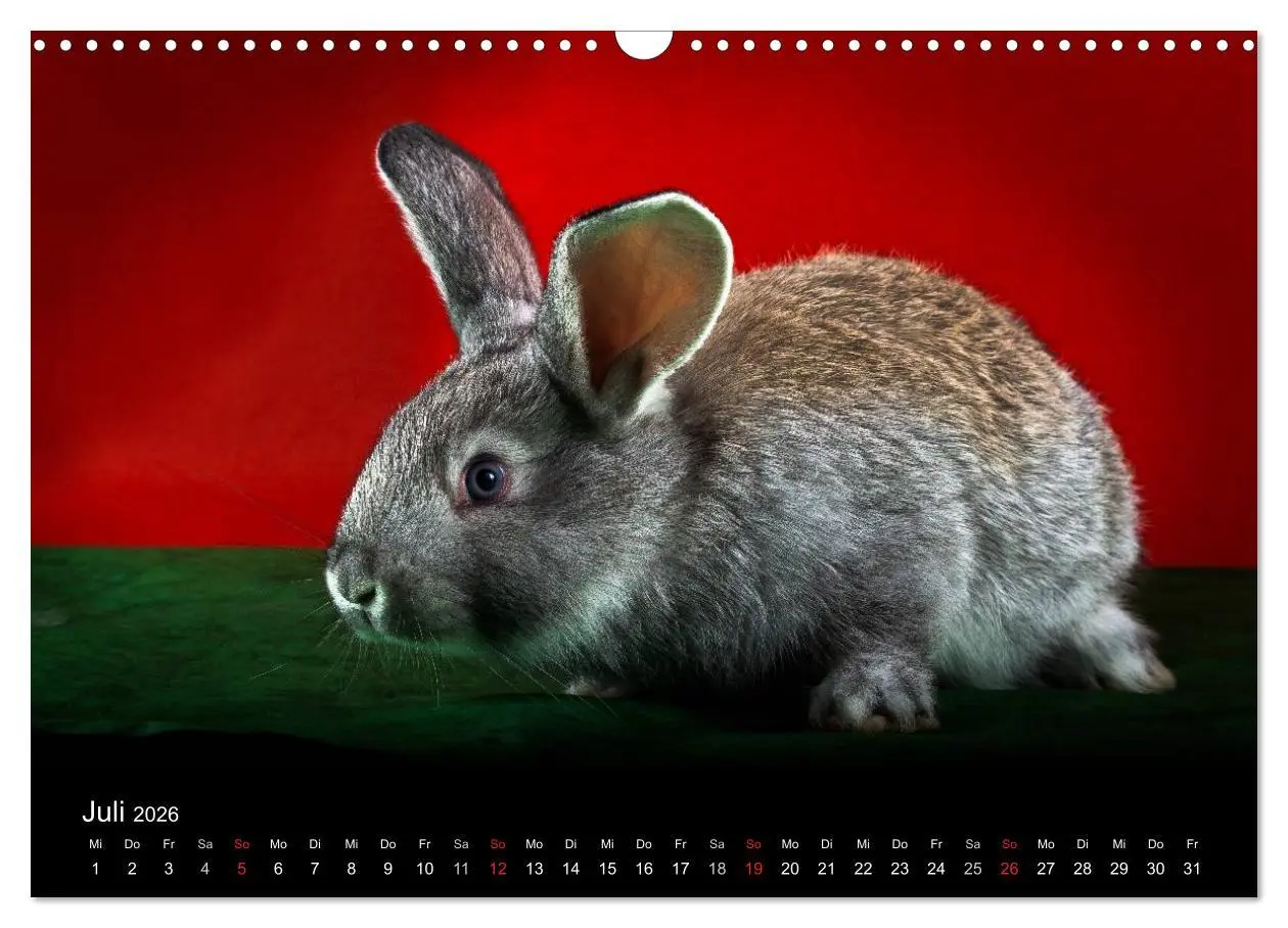 Bild: 9783516161915 | Lustige Kaninchen (Wandkalender 2026 DIN A3 quer), CALVENDO...