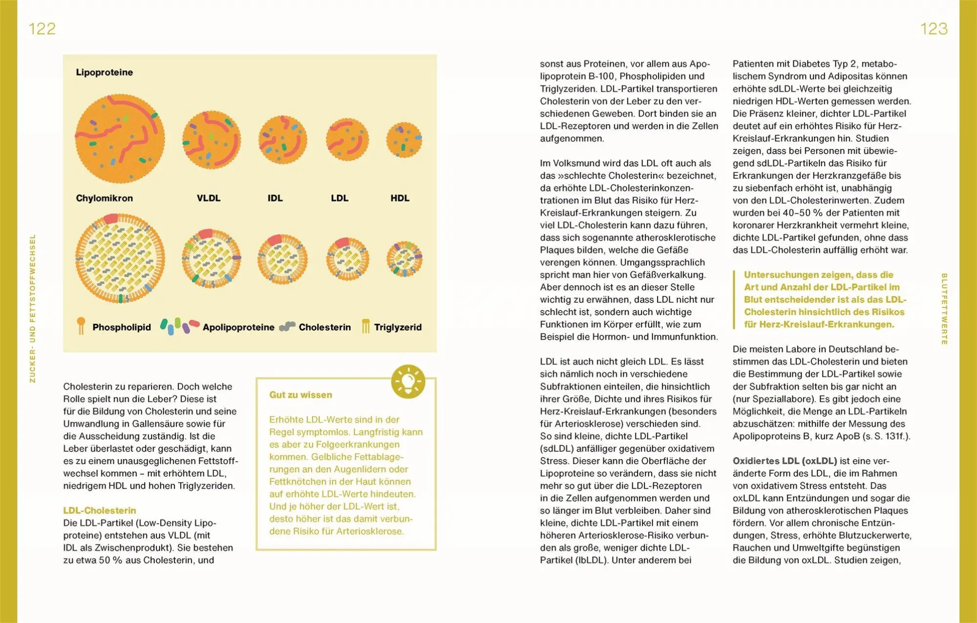 Bild: 9783831051915 | Laborwerte einfach verstehen | Christina Winzig | Buch | 256 S. | 2025