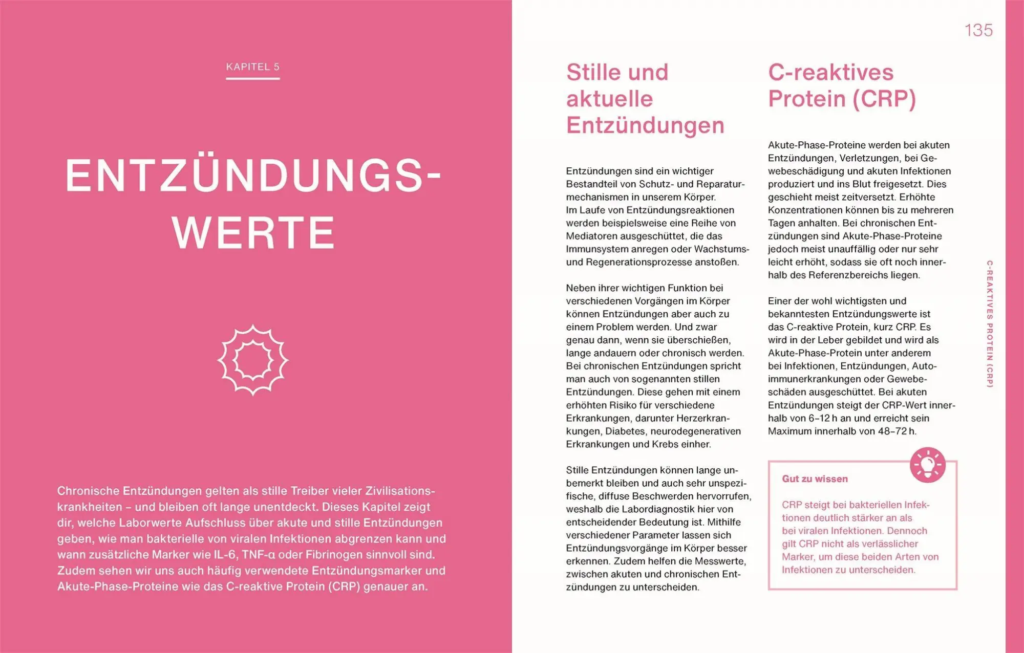 Bild: 9783831051915 | Laborwerte einfach verstehen | Christina Winzig | Buch | 256 S. | 2025