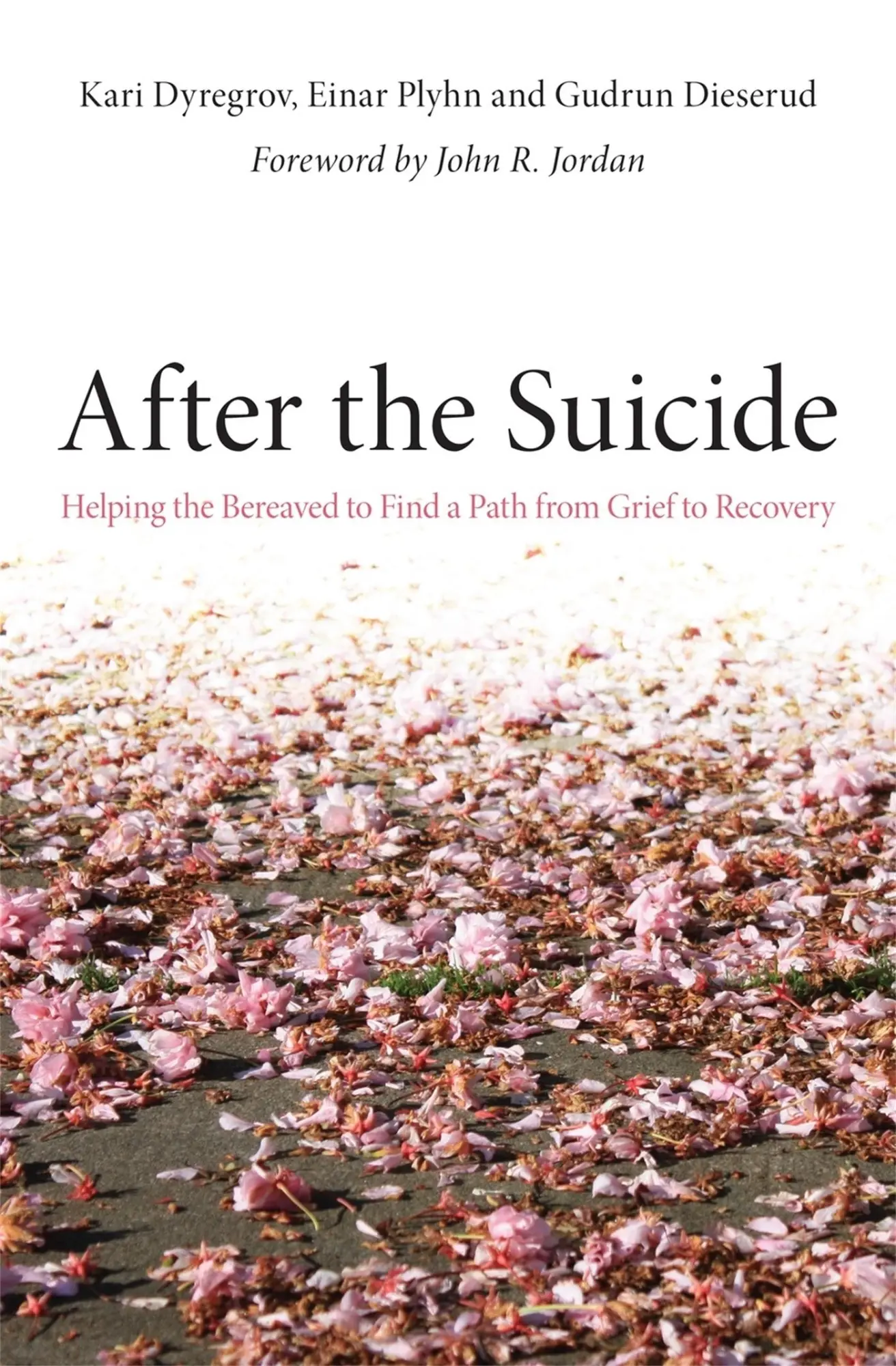 Cover: 9781849052115 | After the Suicide | Einar Plyhn (u. a.) | Taschenbuch | Englisch