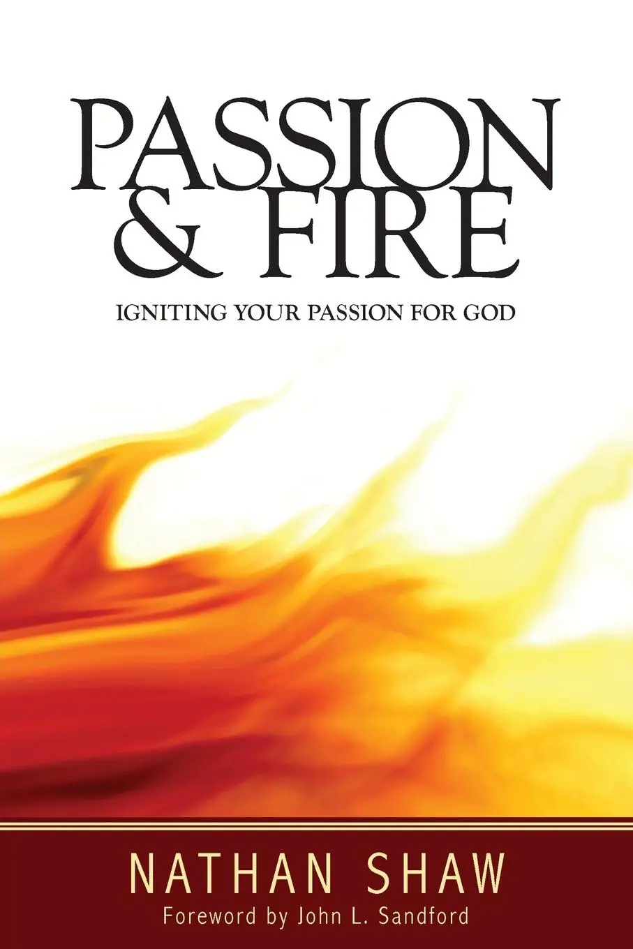 Cover: 9780958282215 | Passion and Fire | Igniting your passion for God | Nathan Shaw | Buch