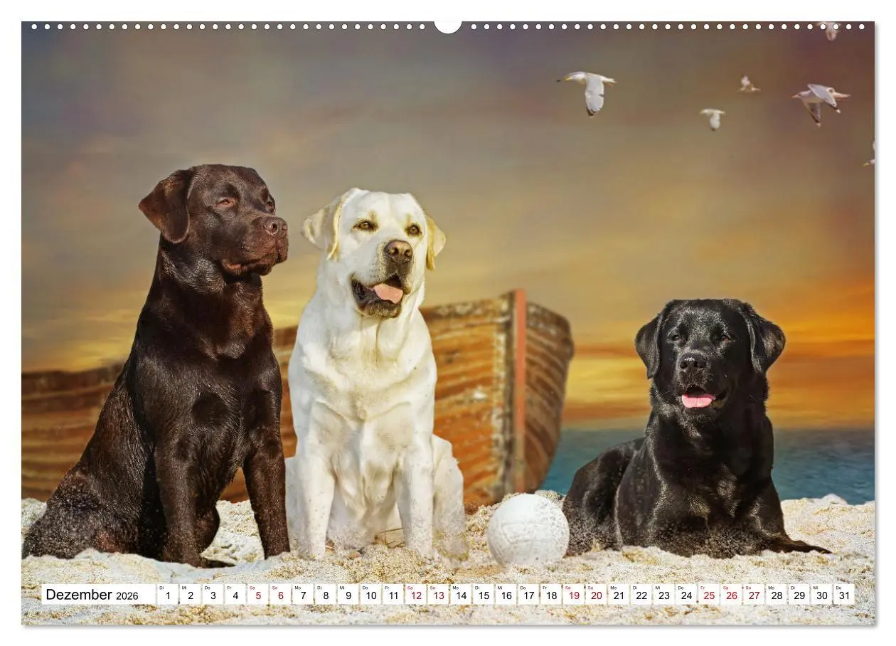 Bild: 9783457632215 | Labrador Retriever - Ein Freund für´s Leben (Wandkalender 2026 DIN...