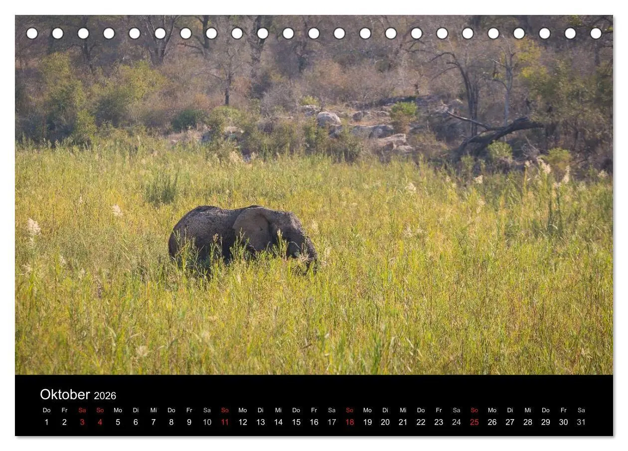Bild: 9783516032215 | Wunderschönes Südafrika (Tischkalender 2026 DIN A5 quer), CALVENDO...