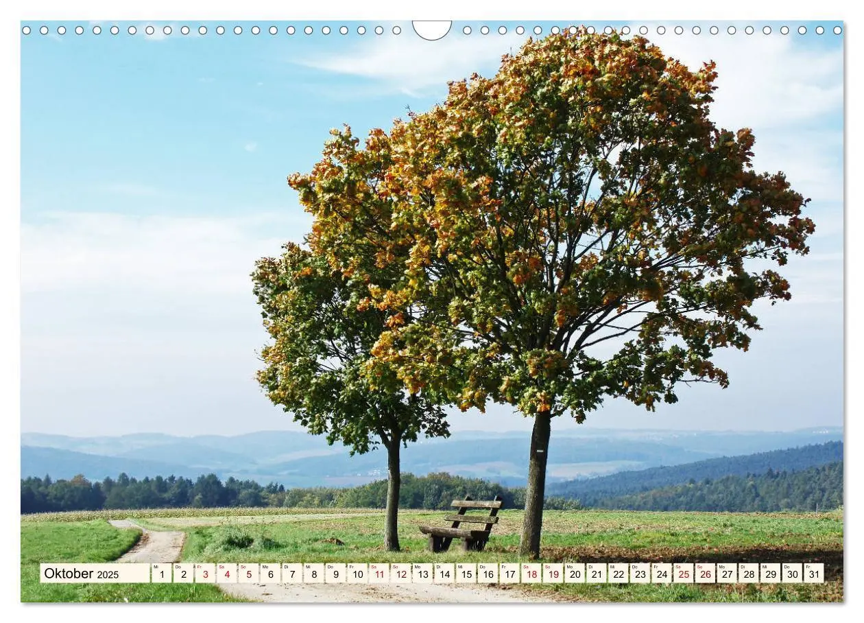 Bild: 9783435222315 | Viele Wege - ein Ziel Wandern im Odenwald (Wandkalender 2025 DIN A3...