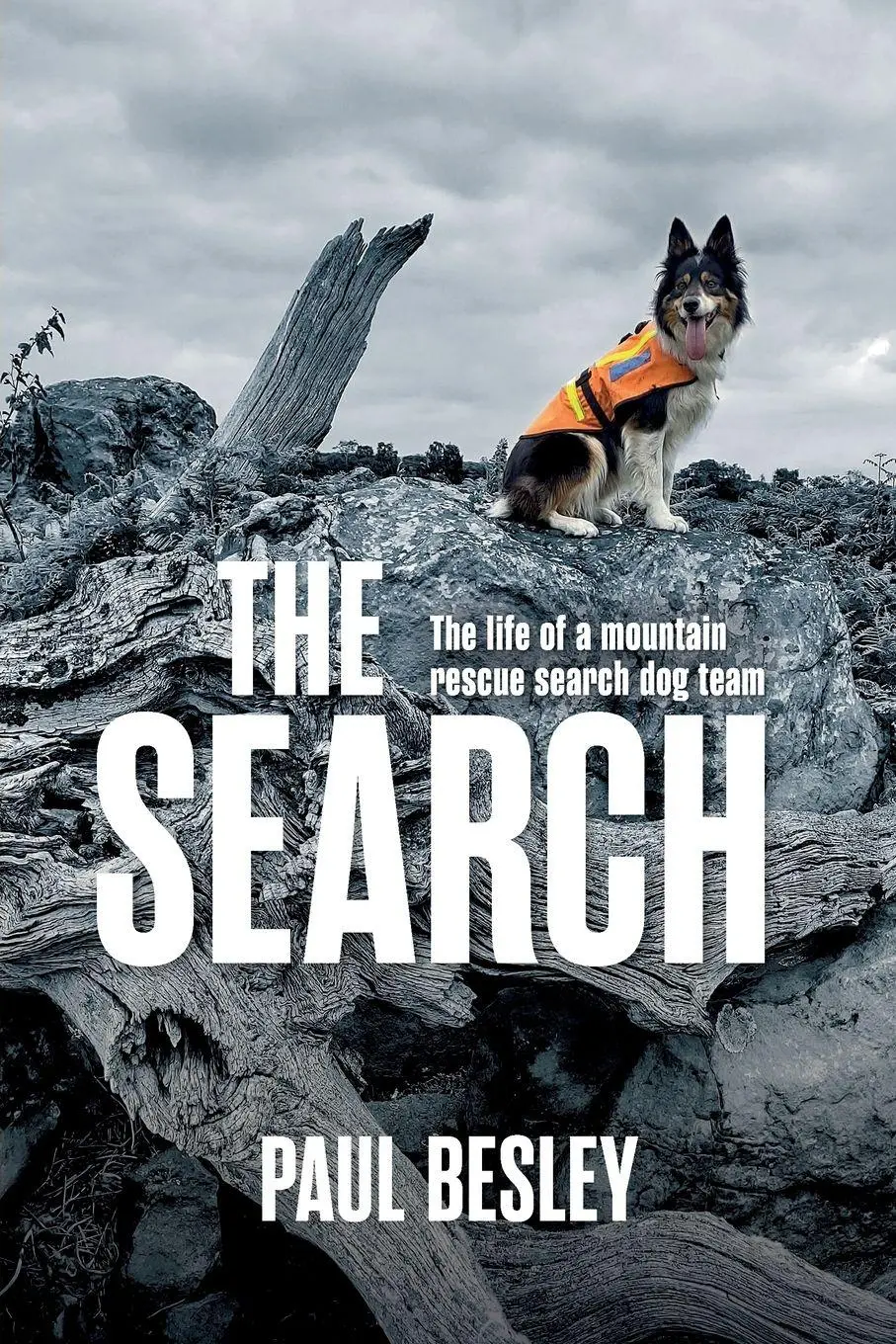 Cover: 9781839812415 | The Search | The life of a mountain rescue search dog team | Besley