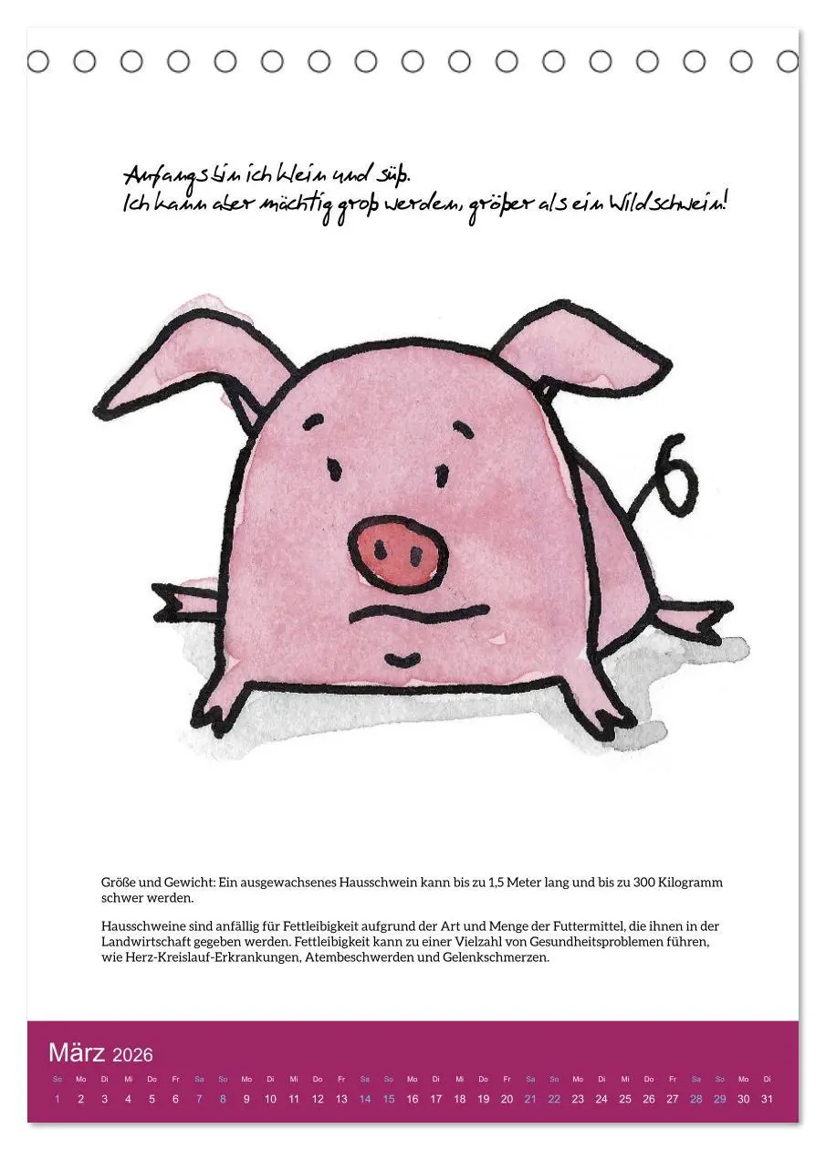 Bild: 9783516322415 | Schweinekalender - Alles was du über Schweine wissen wolltest!...