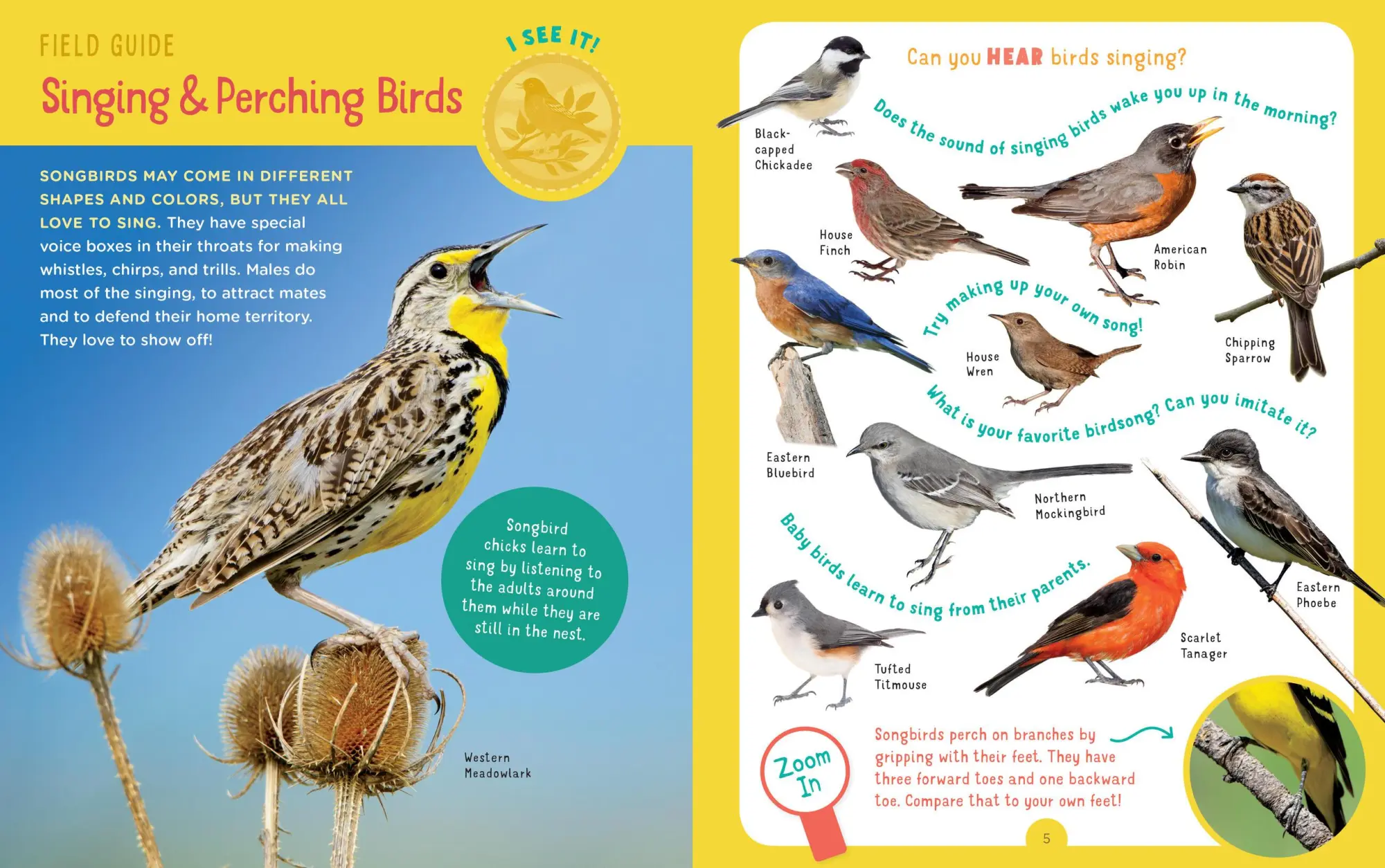 Bild: 9781635862515 | Backpack Explorer: Bird Watch | What Will You Find? | Publishing