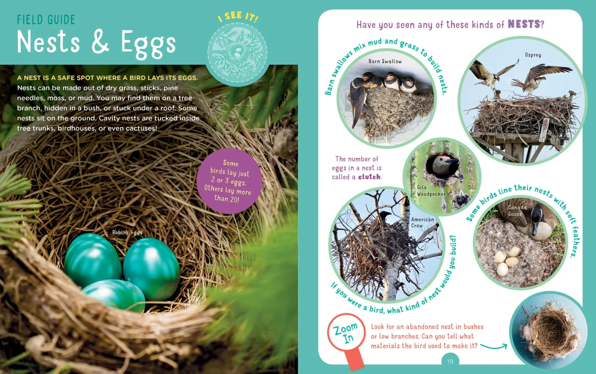 Bild: 9781635862515 | Backpack Explorer: Bird Watch | What Will You Find? | Publishing