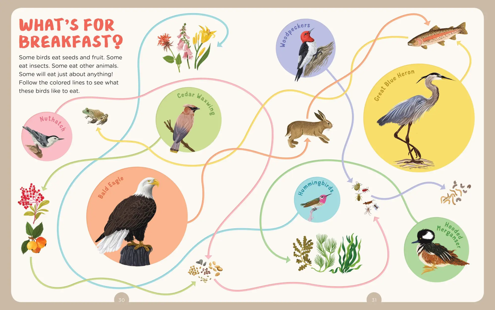 Bild: 9781635862515 | Backpack Explorer: Bird Watch | What Will You Find? | Publishing