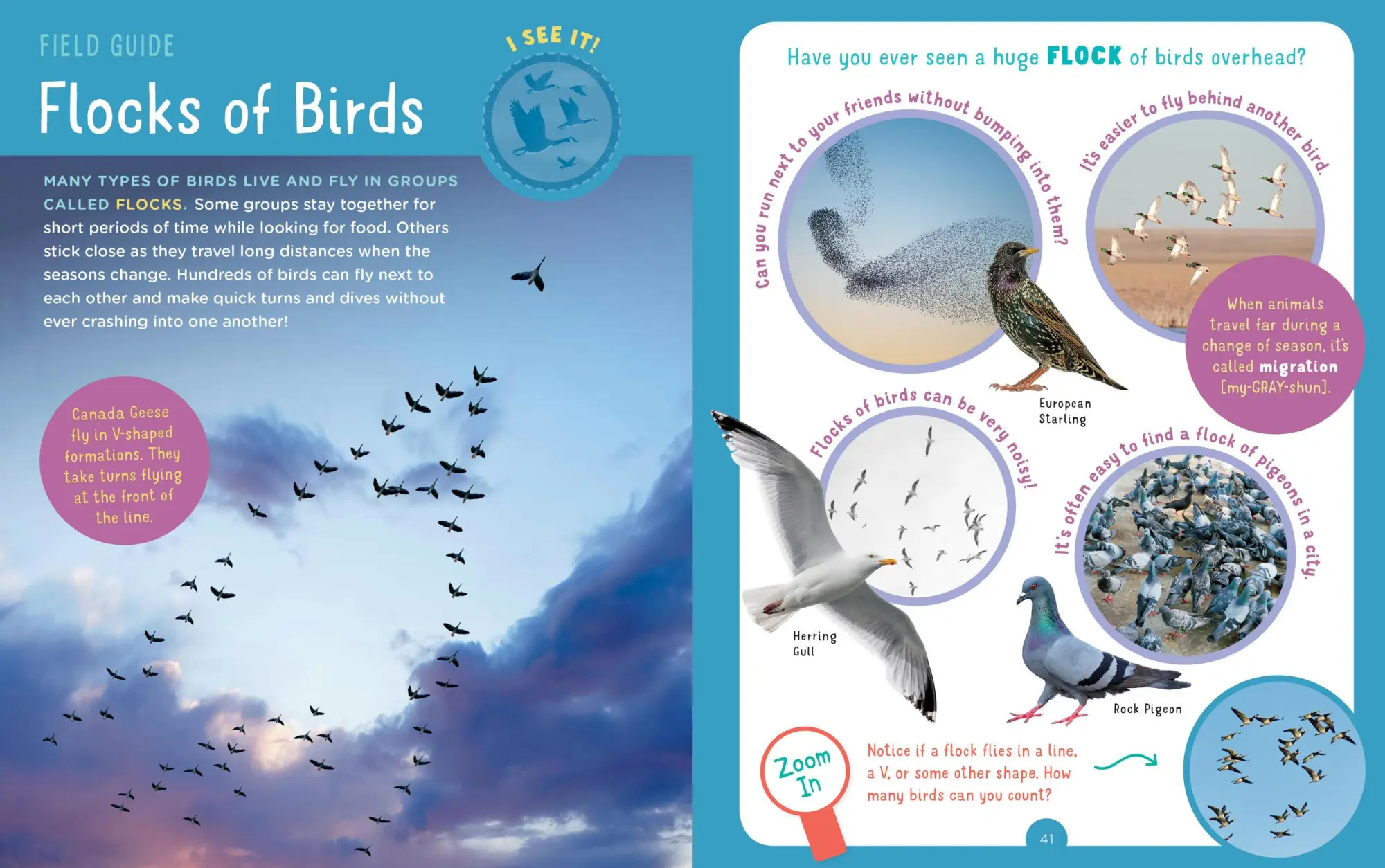 Bild: 9781635862515 | Backpack Explorer: Bird Watch | What Will You Find? | Publishing