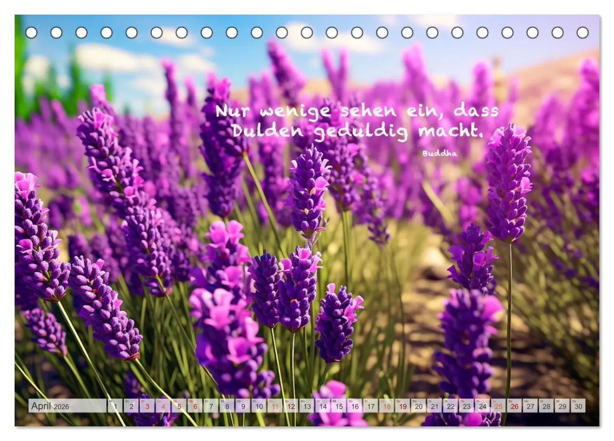 Bild: 9783457532515 | Meditation und innerer Frieden (Tischkalender 2026 DIN A5 quer),...