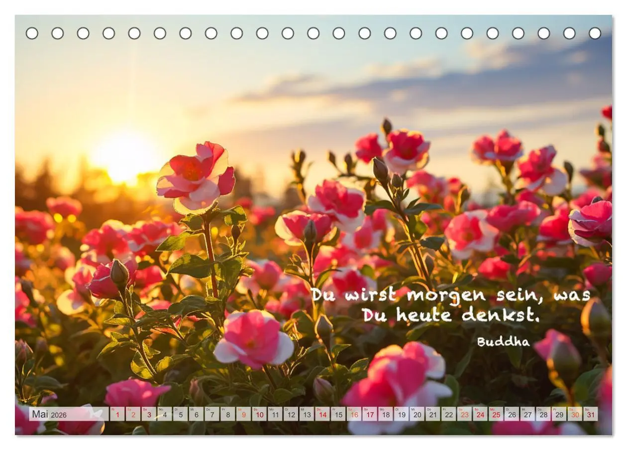 Bild: 9783457532515 | Meditation und innerer Frieden (Tischkalender 2026 DIN A5 quer),...