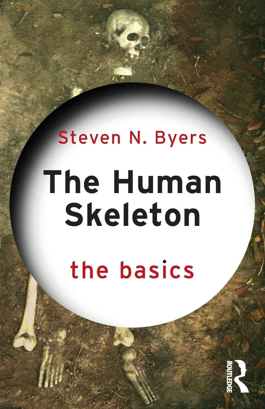 Cover: 9781032772615 | The Human Skeleton: The Basics | Steven N. Byers | Taschenbuch | 2025