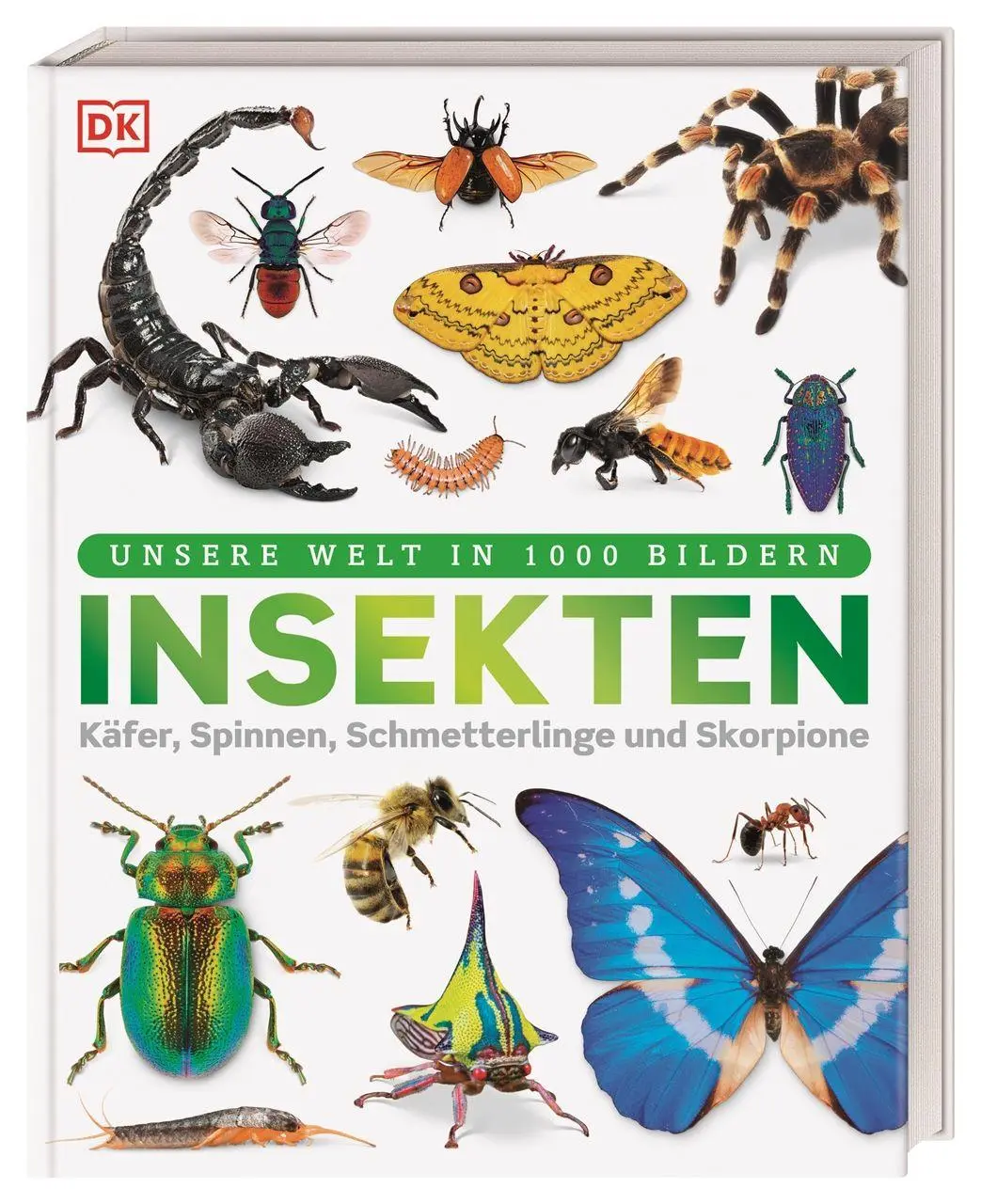 Cover: 9783831052615 | Unsere Welt in 1000 Bildern. Insekten | Ben Ffrancon Dowds (u. a.)