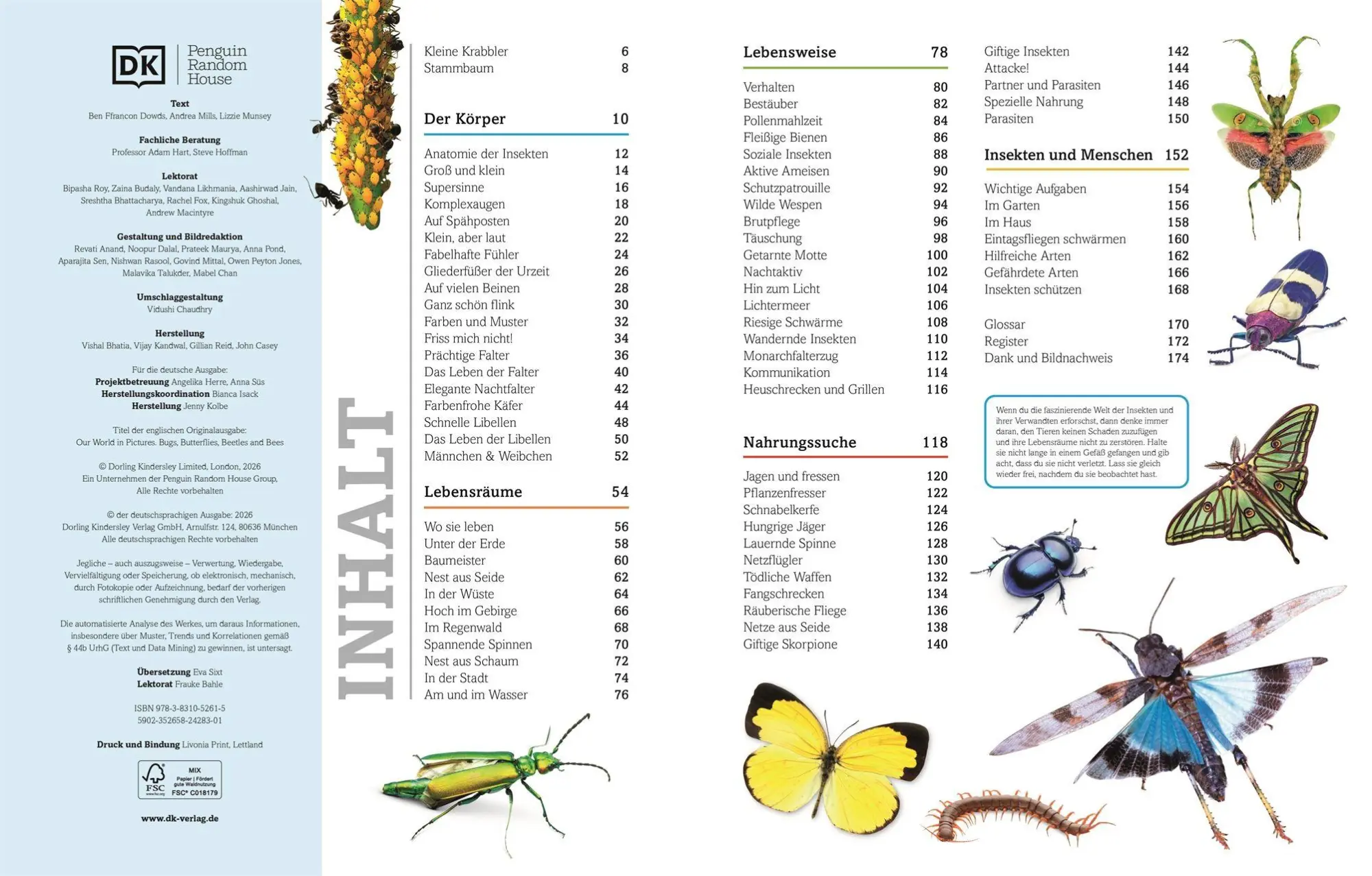 Bild: 9783831052615 | Unsere Welt in 1000 Bildern. Insekten | Ben Ffrancon Dowds (u. a.)