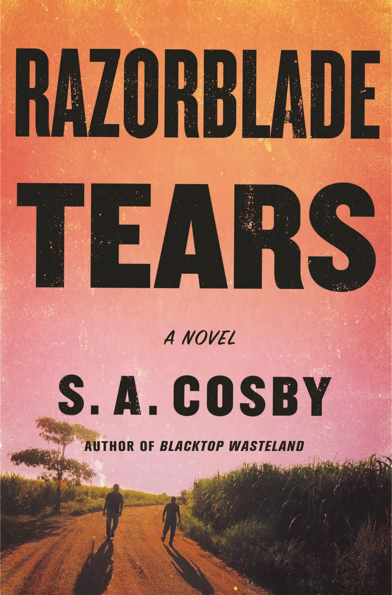 Cover: 9781250252715 | Razorblade Tears | S A Cosby | Taschenbuch | Kartoniert / Broschiert