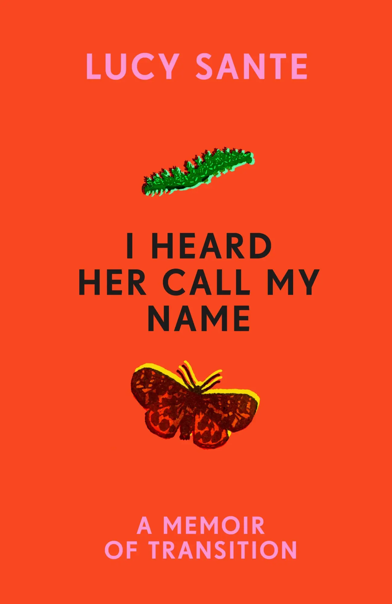 Cover: 9781529152715 | I Heard Her Call My Name | A memoir of transition | Lucy Sante | Buch
